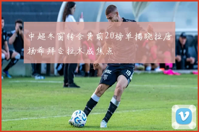 中超冬窗转会费前20榜单揭晓拉唐杨希拜合拉木成焦点