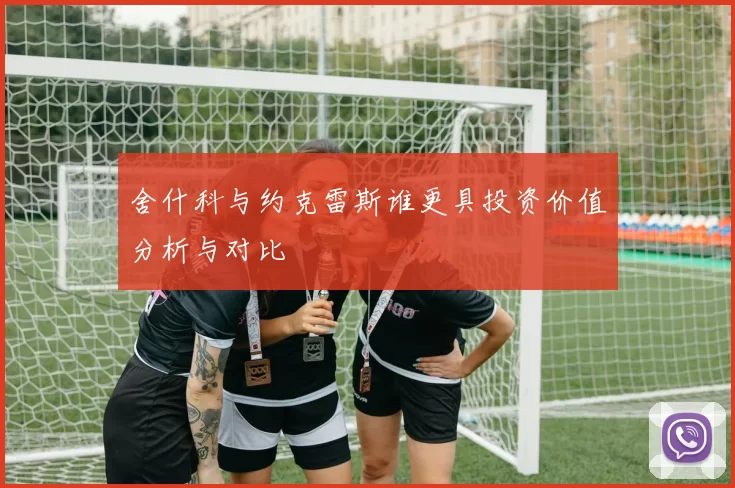 舍什科与约克雷斯谁更具投资价值分析与对比